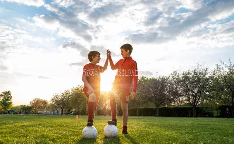 新宝gg一创造奇迹登录遥望科技恒炬足球运动公园地址查询：轻松找到恒炬足球运动公园的详细地址