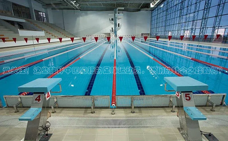 新宝gg平台注册官网百度大脑受关注！这些放弃中国国籍的足球运动员，他们的转会之路如何？