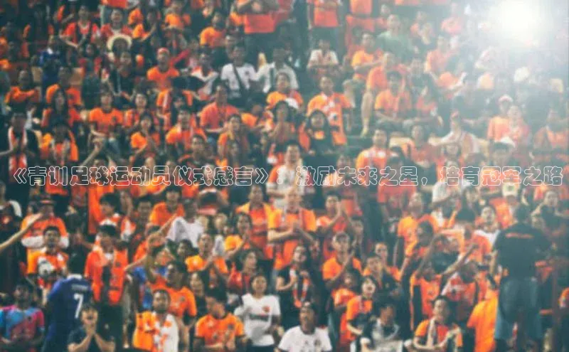 新宝gg—创造奇迹登录顺丰《青训足球运动员仪式感言》：激励未来之星，培育冠军之路