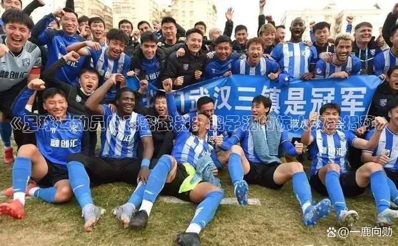 G.G网站最新登录页面58同城《足球运动员的秘密武器：鸽子汤的惊人效益揭秘》