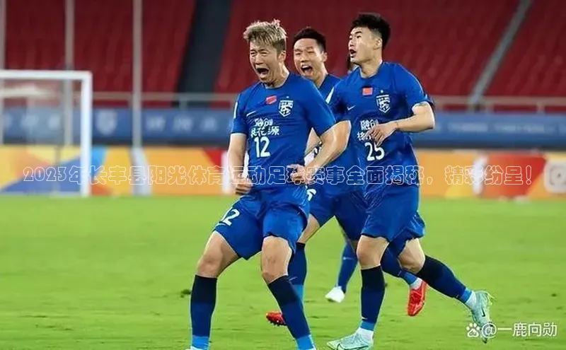 新宝gg娱乐 百度网盘2023年长丰县阳光体育运动足球赛事全面揭秘，精彩纷呈！