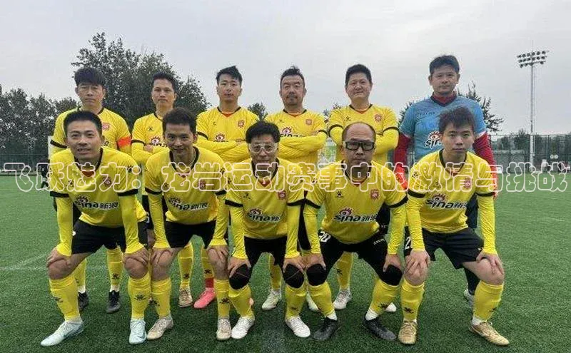 飞跃魅力：龙岩运动赛事中的激情与挑战