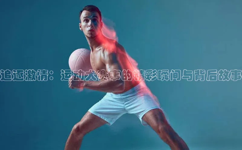 追逐激情：运动犬赛事的精彩瞬间与背后故事
