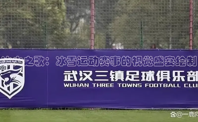 冰火之歌：冰雪运动赛事的视觉盛宴绘制
