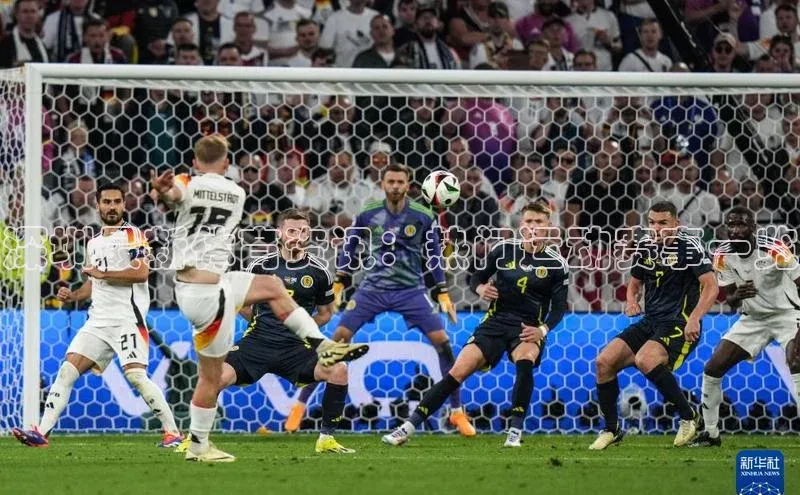 深圳最新体育资讯：热门运动赛事一览