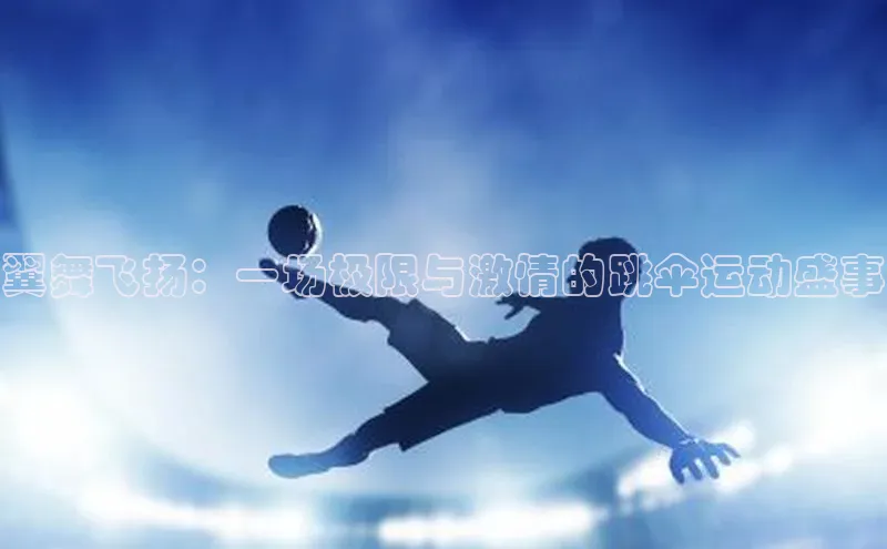 翼舞飞扬：一场极限与激情的跳伞运动盛事