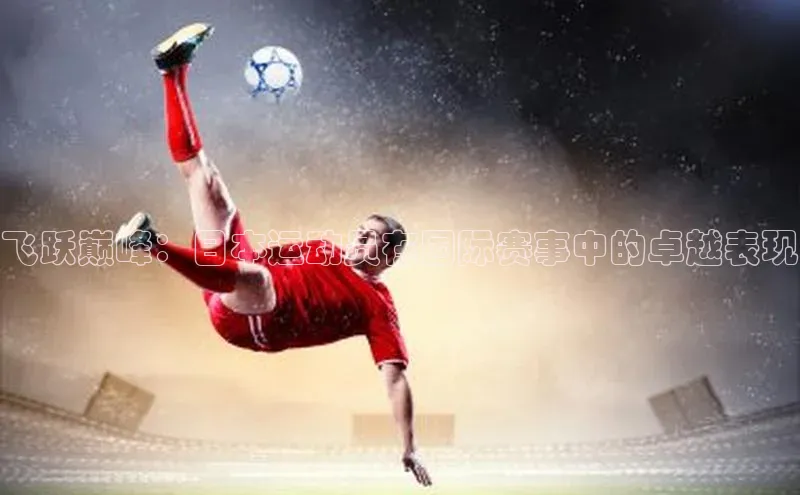 新宝网站登录入口