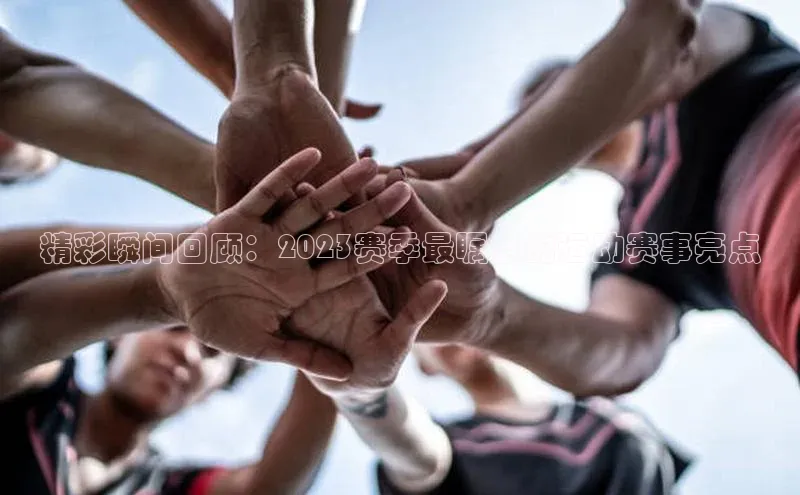 新宝gg平台注册官网