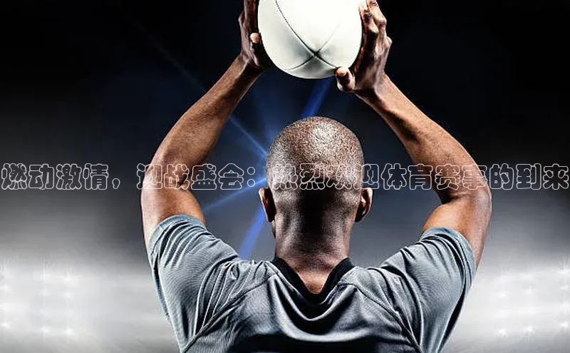 新宝网站登录入口