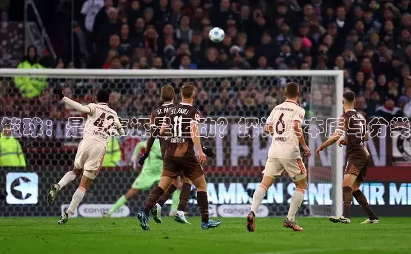 新宝gg在线注册