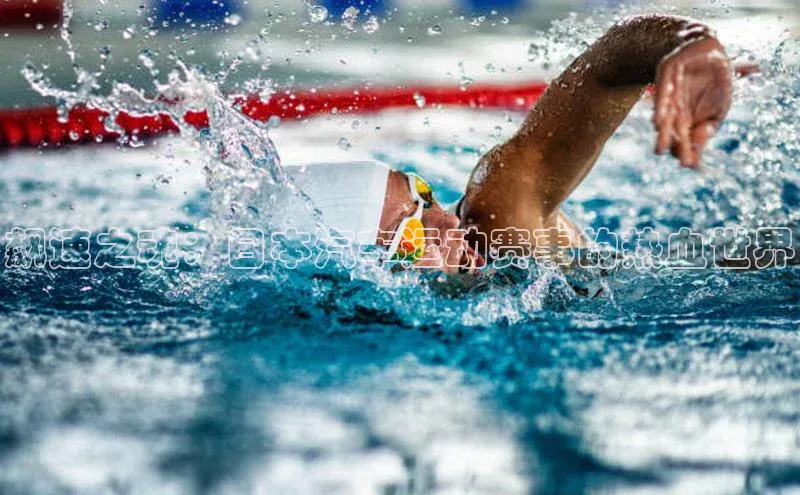 飙速之魂：日本汽车运动赛事的热血世界