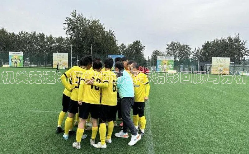 机关竞速：机关运动赛事精彩回顾与分析